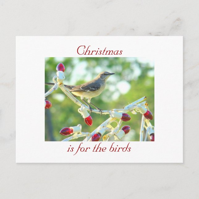 Christmas is for the Birds Holiday Postcard (Front)