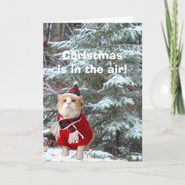 Christmas is in the Air! Holiday Card (Front)