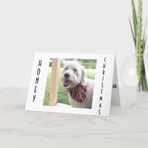 CHRISTMAS IS SPECIALALL YEAR CHRISTMAS DOGGIE HOLIDAY CARD