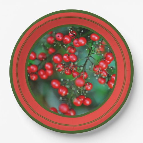 Christmas Is the Berries  Paper Plates