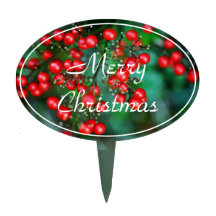 Christmas Is The Berries!  Party 