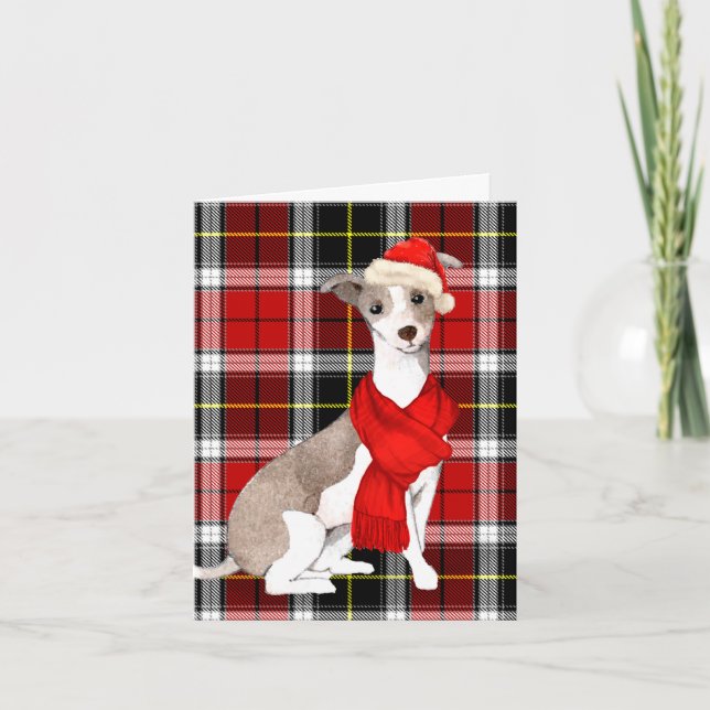 Christmas Italian Greyhound and Holiday Plaid (Front)