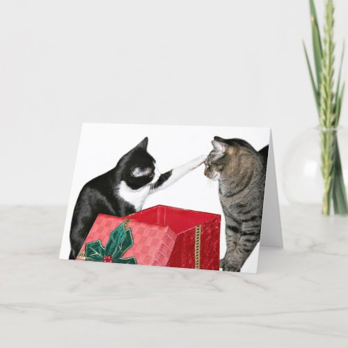 Christmas jealousy holiday card