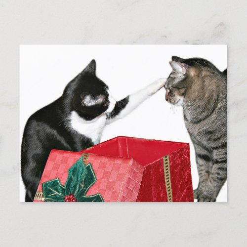 Christmas jealousy holiday postcard