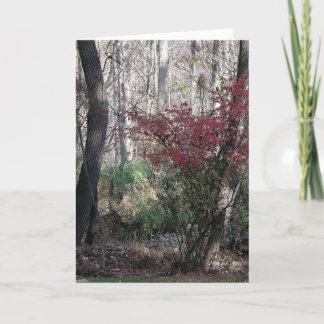 Christmas joy holiday card