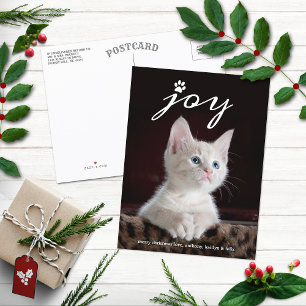 Christmas Joy Pet Holiday Photo