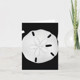 Christmas Joy Sand Dollar T Shirt Card