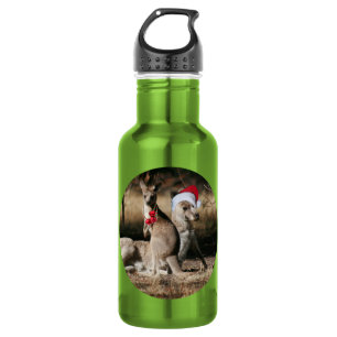 Christmas Kangaroos Australian Style Stainless Steel Water Bottle