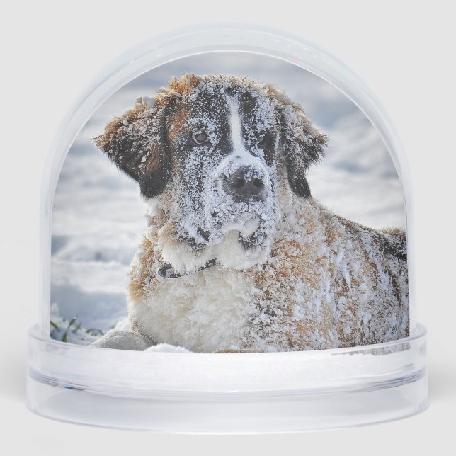 Christmas, Keepsake, or Memorial Custom Pet Photo  Snow Globe (Front)