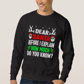 Christmas Kids Adults Dear Santa I Can Explain Sweatshirt