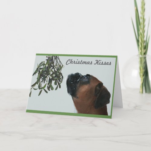 Christmas Kisses Holiday Card