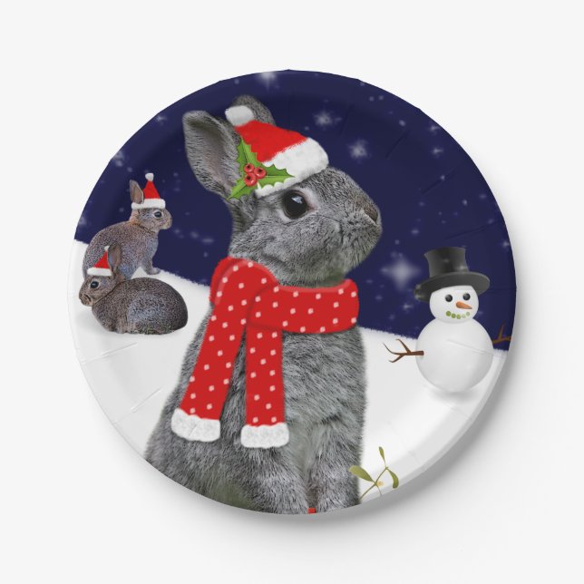 Christmas Kits Paper Plate (Front)