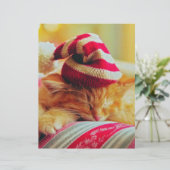 Christmas Kitten (Standing Front)