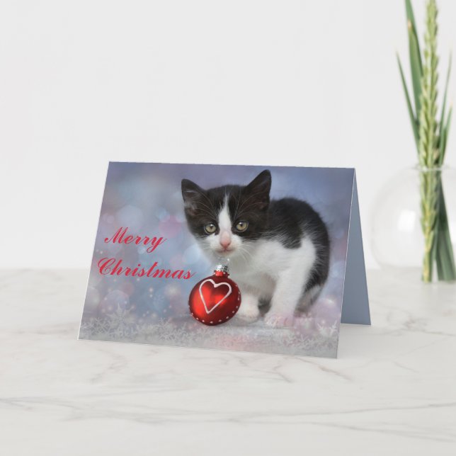 christmas kitten greeting card (Front)