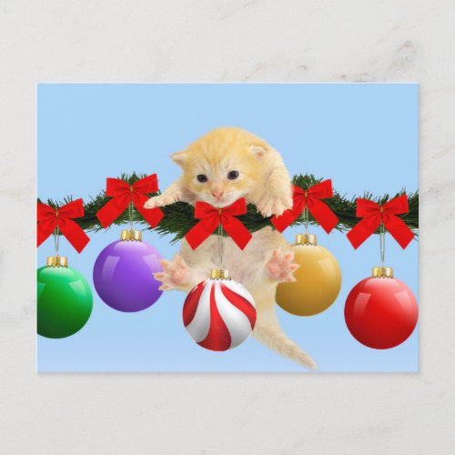 Christmas kitten holiday postcard