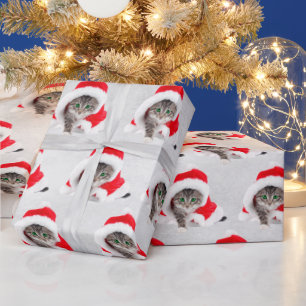 Christmas Kitten In Hat On Gray Wrapping Paper