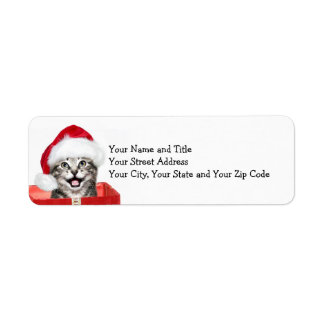 Christmas kitten label