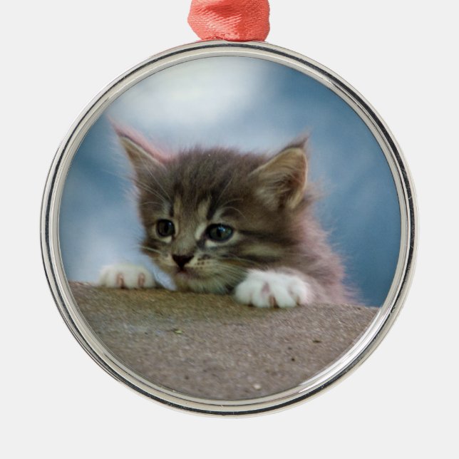 Christmas Kitten Metal Ornament (Front)