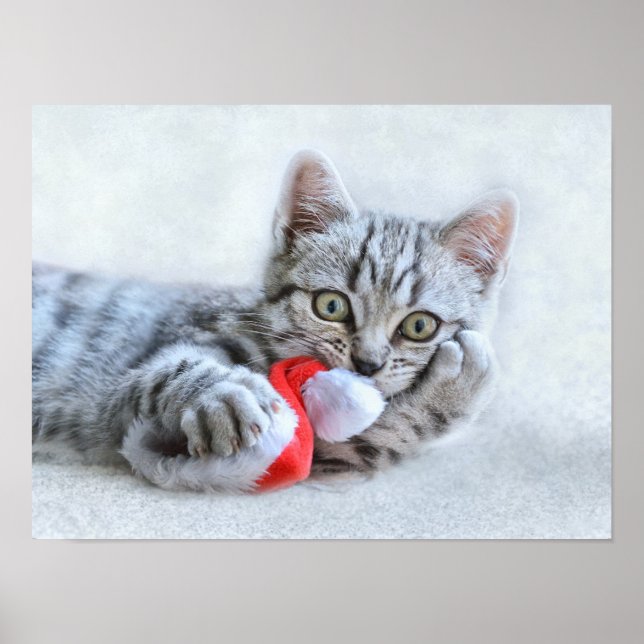 Christmas Kitten Poster (Front)