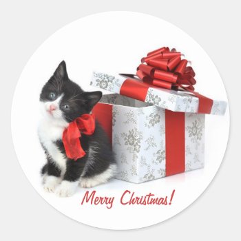 Christmas Kitten  Stickers by Allita at Zazzle