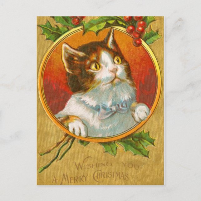 Christmas Kitten with holly berries Holiday Postcard (Front)