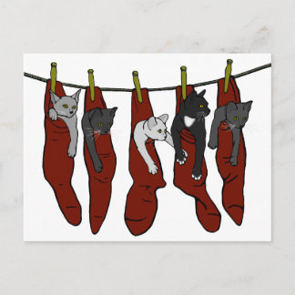 Christmas Kittens | Chatons de Nöel Postcard