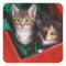 Christmas Kittens