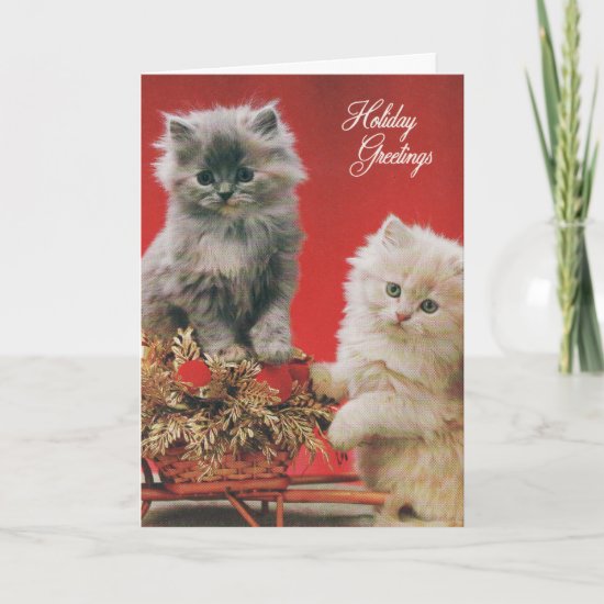 Christmas Kittens Holiday Card