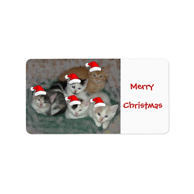 Christmas Kittens Label (Front)
