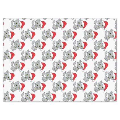 Christmas Kittens Tissue Paper