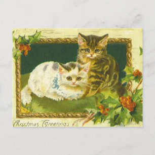 Christmas Kittens Vintage Postcard