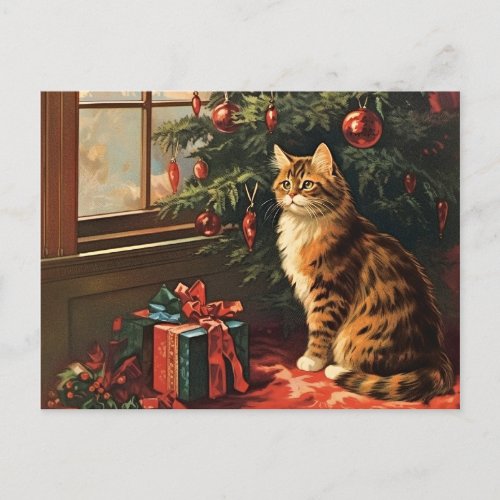 Christmas Kitty at the Window Holiday Postcard