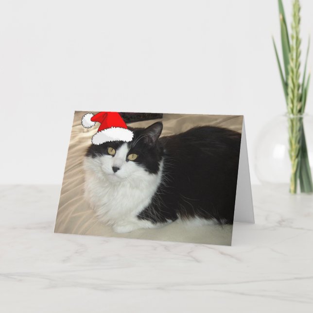 Christmas Kitty Cat Holiday Card (Front)