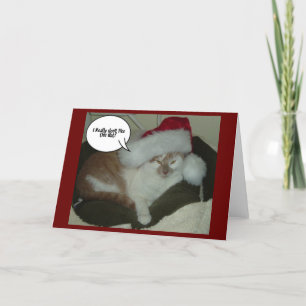 Christmas Kitty Cat Tabby Holiday Card