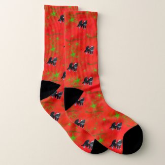 Christmas kitty cat Tuxedo on red