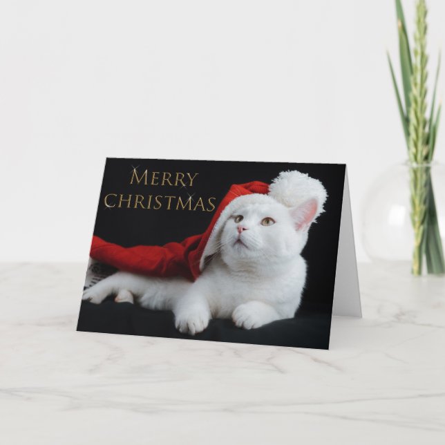 Christmas Kitty Holiday Card (Front)