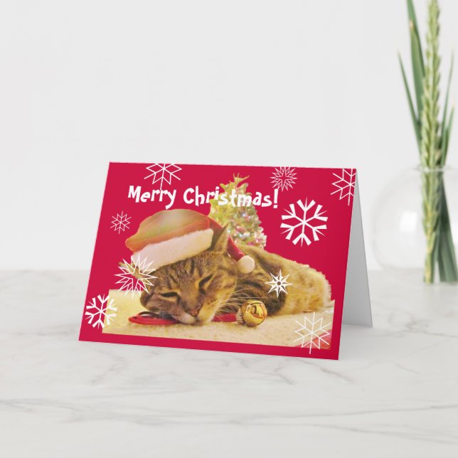 Christmas Kitty Holiday Card (Front)