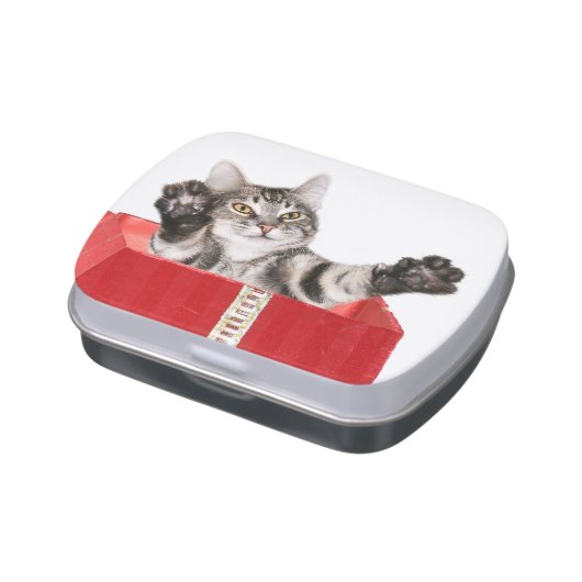 Christmas kitty hug jelly belly tin (Side)
