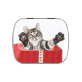Christmas kitty hug jelly belly tin (Top)