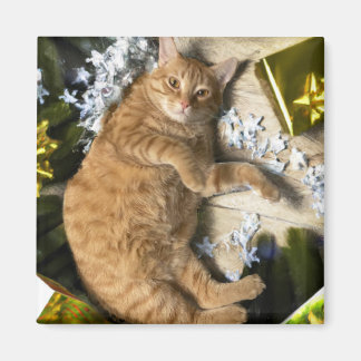 Christmas Kitty Magnet