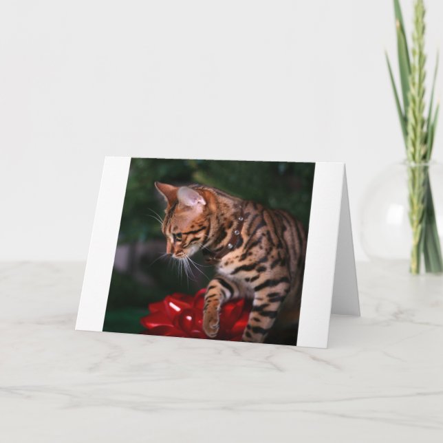 Christmas Kitty Photo (Domestic Bengal Cat) Holiday Card (Front)
