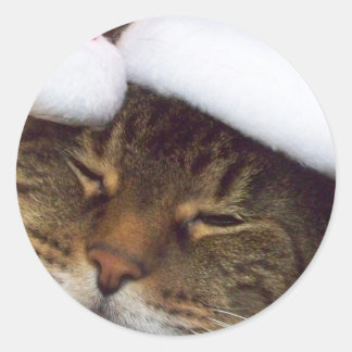 Christmas kitty stickers