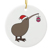 Christmas Kiwi