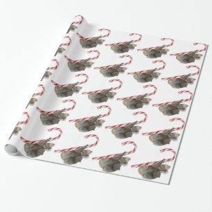 Christmas Koala Bears Climbing Candy Cane Wrapping Paper