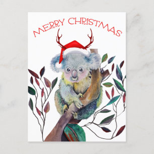 Christmas Koala wearing Santa Hat Holiday Postcard