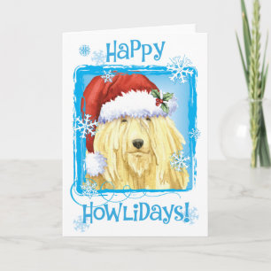Christmas Komondor Holiday Card