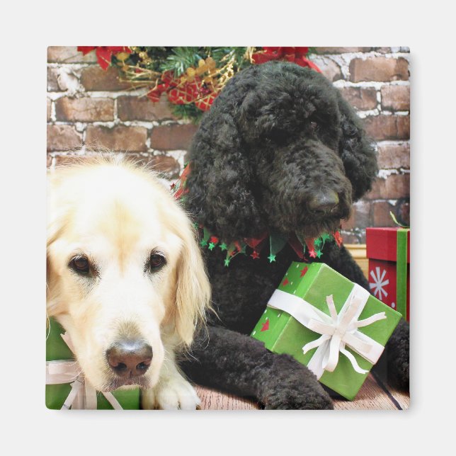 Christmas - Labradoodle Miller - Golden Retriever Magnet (Front)