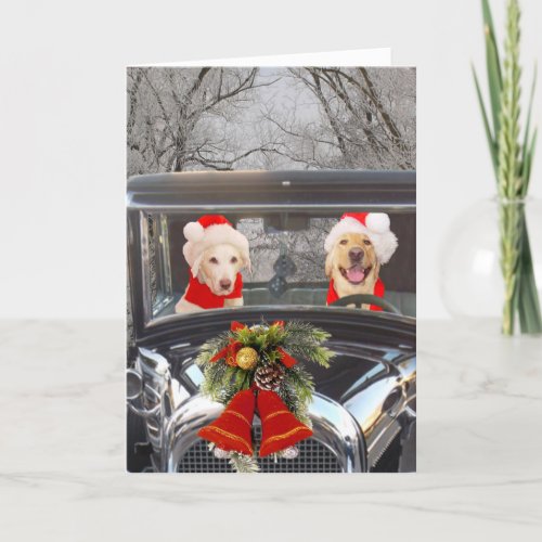 Christmas Labs in Car Holiday Card