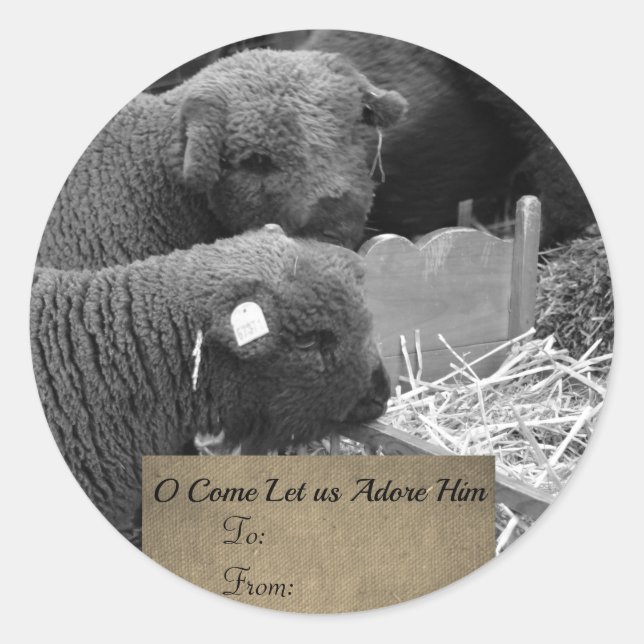 Christmas Lambs Label (Front)