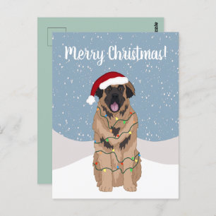 Christmas Leonberger Postcard